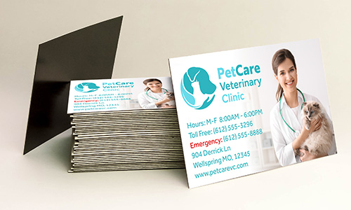 Stack of business magnets for a Veterinary Clinic. Magnet is white with teal lettering. The text reads "Pet Care Veterinary Clinic". Bellow that the text reads "Hours: M-F 8:00AM - 6:00PM Toll Free: (612) 555-3296 Emergency: (612) 555-8888 904 Derrick Ln Wellspring MO, 12345 www.petcarevc.com". To the right of the text is a young brunette woman Vet holding a fluffy grey Siamese cat. 